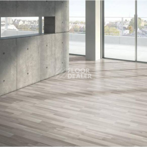 Parador Basic Plus 200 1426414 Акация Серая фото 3 | FLOORDEALER